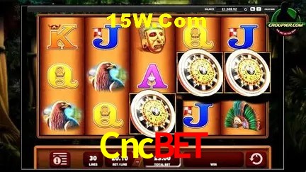 Integração de APIs Cncbet
